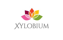 Xylobium