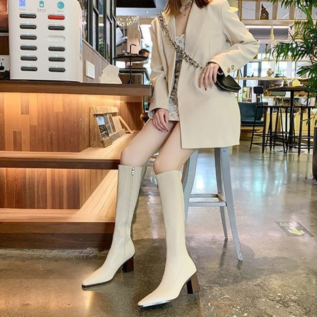 Fashion Boots Pointed Toe Knee High