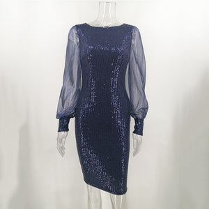 Vintage Sequin Dress - Long Sleeve